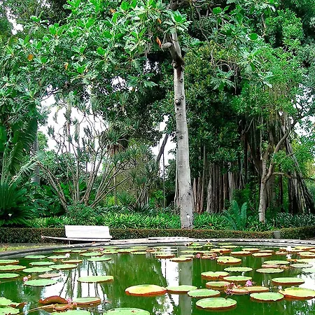 In Puerto Near Playa Jardin, Cleaning Included 別荘 プエルト・デ・ラ・クルス